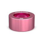 Crufts Best Veteran In Breed NOTCH Charm